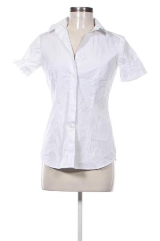 Damska koszula Greiff, Rozmiar S, Kolor Biały, Cena 91,99 zł