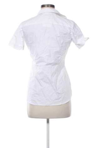 Damska koszula Greiff, Rozmiar S, Kolor Biały, Cena 91,99 zł