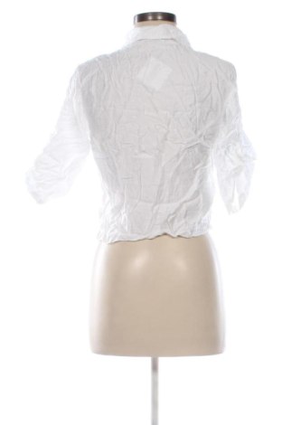 Dámska košeľa  NEW COLLECTION, Veľkosť M, Farba Biela, Cena  20,95 €