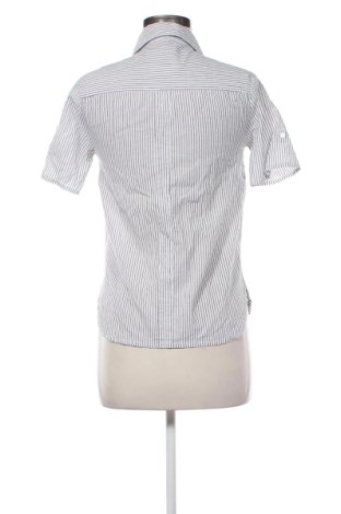 Damenbluse Passport, Größe S, Farbe Mehrfarbig, Preis € 13,00