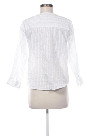 Dámska košeľa  Tippy, Veľkosť S, Farba Viacfarebná, Cena  12,69 €