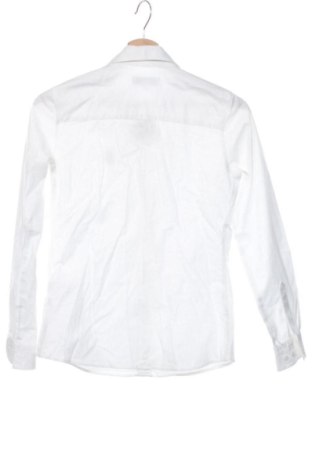 Damenbluse U.S. Polo Assn., Größe XXS, Farbe Weiß, Preis 28,00 €