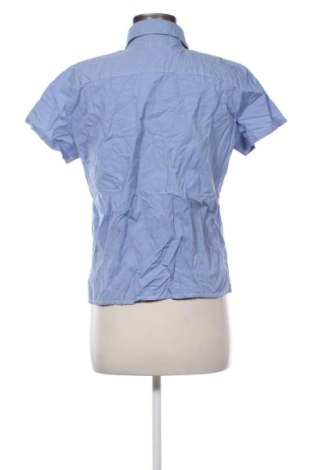 Damenbluse Unbranded, Größe XL, Farbe Mehrfarbig, Preis € 16,99