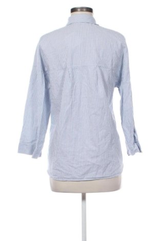 Damenbluse Zara, Größe S, Farbe Mehrfarbig, Preis € 13,81