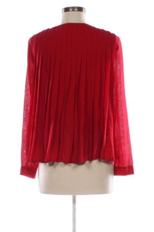 Damenbluse Zara, Größe S, Farbe Rot, Preis € 18,99
