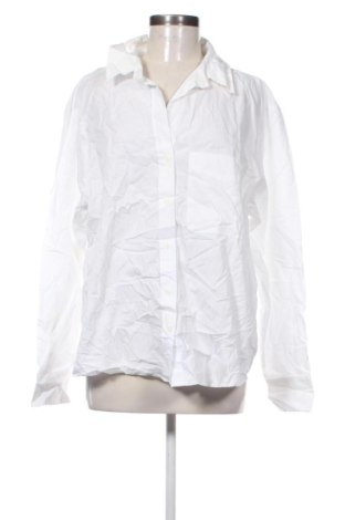 Damenbluse Zara, Größe XL, Farbe Grau, Preis € 18,99