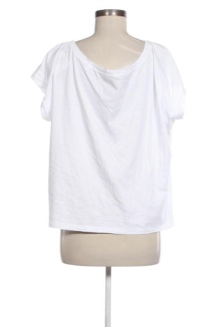 Damen T-Shirt STANLEY/STELLA, Größe L, Farbe Mehrfarbig, Preis € 16,51