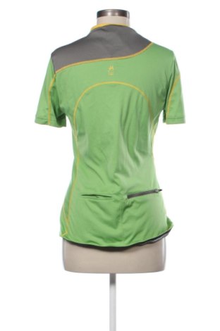 Damen T-Shirt Scott, Größe M, Farbe Mehrfarbig, Preis € 10,00