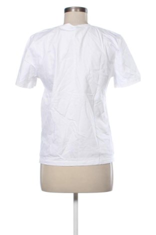 Damen T-Shirt Zara, Größe S, Farbe Mehrfarbig, Preis 7,99 €