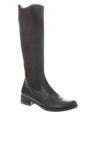 Damenstiefel Caprice, Größe 38, Farbe Braun, Preis € 122,89