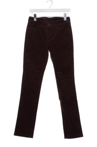 Damskie sztruksy Uniqlo, Rozmiar XS, Kolor Brązowy, Cena 131,49 zł