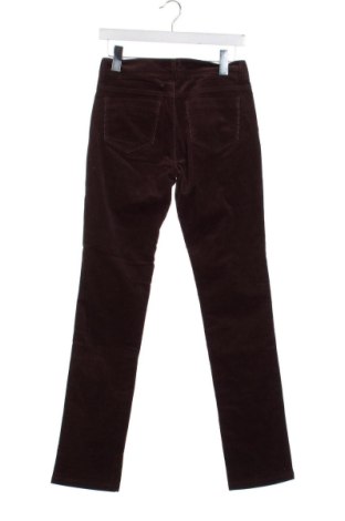 Damskie sztruksy Uniqlo, Rozmiar XS, Kolor Brązowy, Cena 131,49 zł