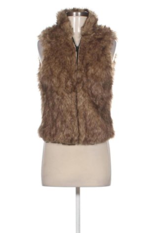 Γυναικείο γιλέκο Abercrombie & Fitch, Μέγεθος S, Χρώμα Καφέ, Τιμή 37,99 €