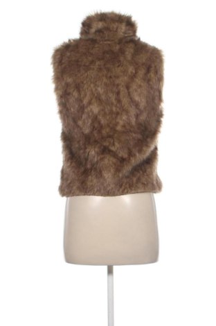 Γυναικείο γιλέκο Abercrombie & Fitch, Μέγεθος S, Χρώμα Καφέ, Τιμή 37,99 €