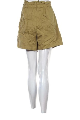 Damen Shorts C&A, Größe L, Farbe Grün, Preis € 12,99