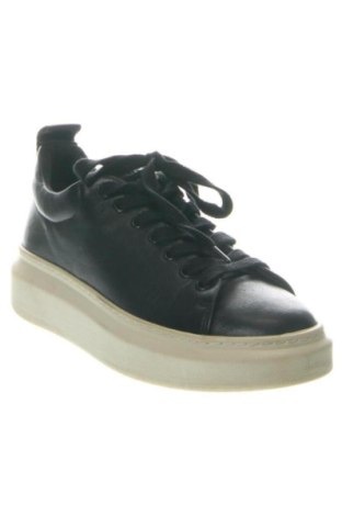 Damenschuhe Pavement, Größe 36, Farbe Schwarz, Preis 49,66 €