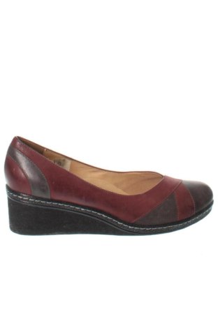 Damenschuhe Sergio Bardi, Größe 40, Farbe Mehrfarbig, Preis 45,08 €