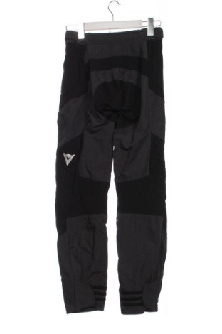 Damenhose Dainese, Größe XS, Farbe Mehrfarbig, Preis 38,00 €