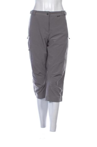 Damenhose Icepeak, Größe L, Farbe Grau, Preis € 36,99