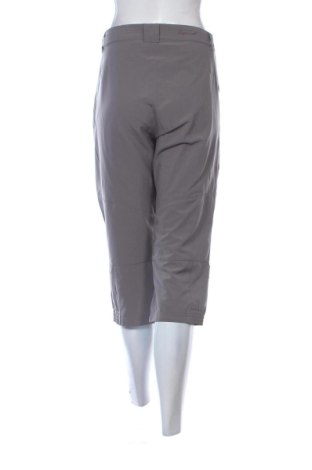 Damenhose Icepeak, Größe L, Farbe Grau, Preis € 36,99