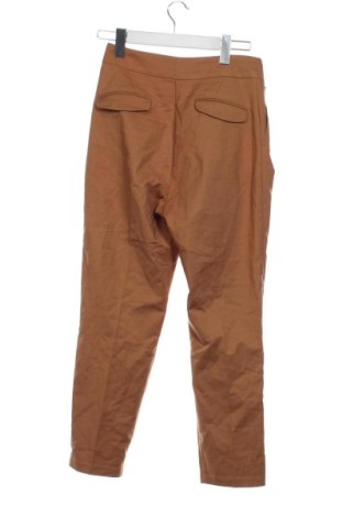 Damskie spodnie Motivi, Rozmiar XS, Kolor Brązowy, Cena 403,44 zł
