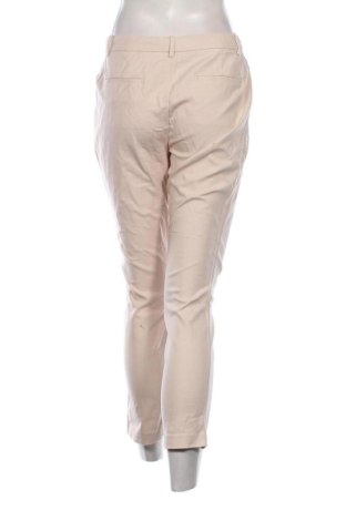 Damenhose Padini Authentics, Größe M, Farbe Rosa, Preis € 19,99