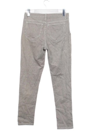 Damskie spodnie 17 & Co., Rozmiar M, Kolor Kolorowy, Cena 78,99 zł