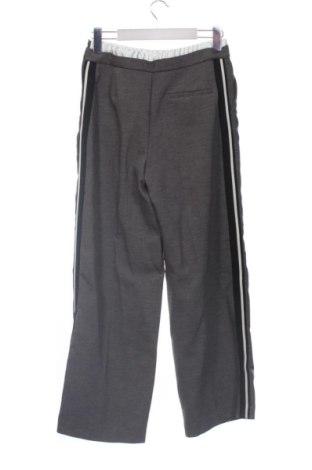 Damenhose Zara, Größe XS, Farbe Grau, Preis € 19,98