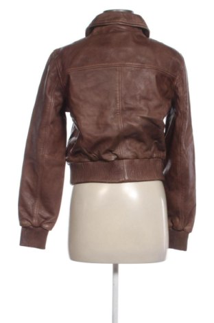 Damen Lederjacke Mango, Größe M, Farbe Braun, Preis € 104,99