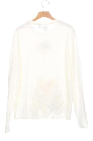 Dziecięca bluzka Calliope, Rozmiar 13-14y/ 164-168 cm, Kolor Kolorowy, Cena 29,99 zł