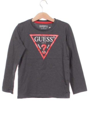 Детска блуза Guess, Размер 5-6y/ 116-122 см, Цвят Сив, Цена 17,00 €