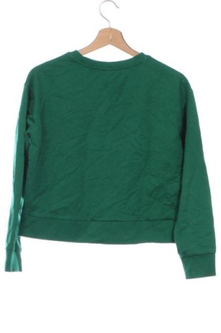 Dziecięca bluzka Harry Potter, Rozmiar 13-14y/ 164-168 cm, Kolor Żółty, Cena 55,99 zł