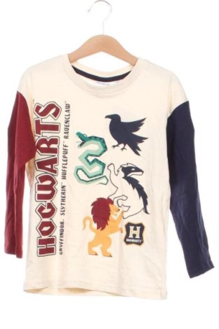 Detská blúzka  Harry Potter, Veľkosť 4-5y/ 110-116 cm, Farba Viacfarebná, Cena  11,76 €