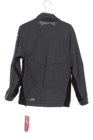 Детска блуза PUMA, Размер 4-5y/ 110-116 см, Цвят Сив, Цена 29,00 €