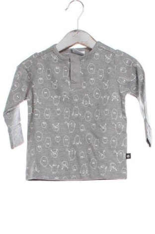 Dziecięca bluzka Pomp De Lux, Rozmiar 3-6m/ 62-68 cm, Kolor Kolorowy, Cena 63,00 zł