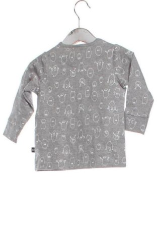 Dziecięca bluzka Pomp De Lux, Rozmiar 3-6m/ 62-68 cm, Kolor Kolorowy, Cena 63,00 zł