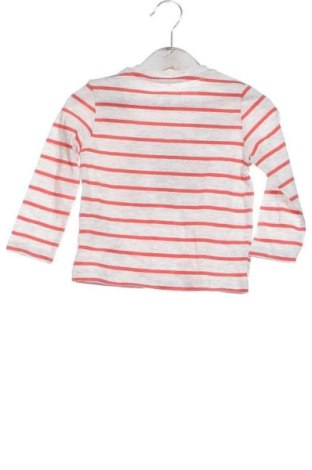 Kinder Shirt In Extenso, Größe 9-12m/ 74-80 cm, Farbe Mehrfarbig, Preis € 9,21