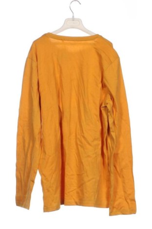 Детска блуза Yigga, Размер 12-13y/ 158-164 см, Цвят Многоцветен, Цена 5,62 €