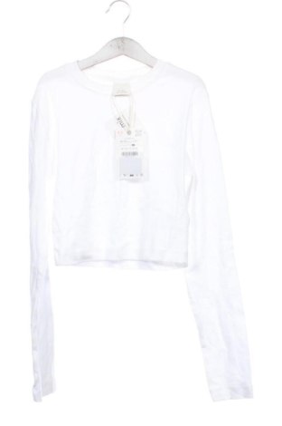 Kinder Shirt Zara, Größe 11-12y/ 152-158 cm, Farbe Weiß, Preis € 20,99