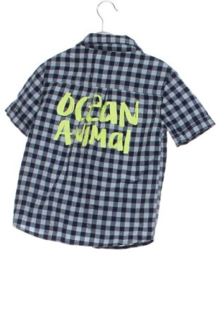 Детска риза Desigual, Размер 4-5y/ 110-116 см, Цвят Многоцветен, Цена 14,00 €