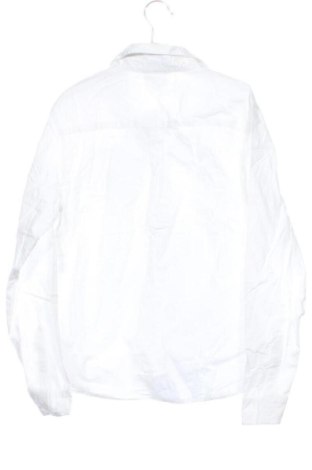 Detská košeľa  Looney Tunes, Veľkosť 12-13y/ 158-164 cm, Farba Biela, Cena  6,95 €