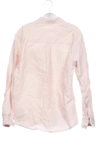 Dziecięca koszula Zara, Rozmiar 7-8y/ 128-134 cm, Kolor Kolorowy, Cena 37,99 zł