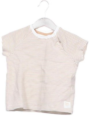 Kinder T-Shirt Pepco, Größe 18-24m/ 86-98 cm, Farbe Mehrfarbig, Preis € 5,00