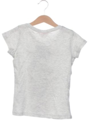 Tricou pentru copii Unbranded, Mărime 5-6y/ 116-122 cm, Culoare Gri, Preț 41,71 Lei