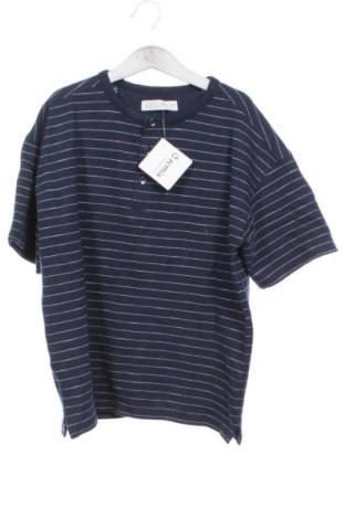 Kinder T-Shirt Zara, Größe 9-10y/ 140-146 cm, Farbe Mehrfarbig, Preis € 8,74