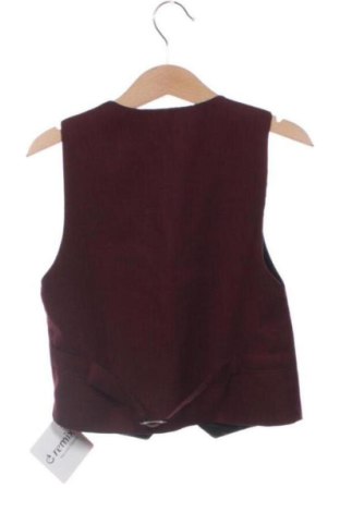 Παιδικό γιλέκο Unbranded, Μέγεθος 5-6y/ 116-122 εκ., Χρώμα Κόκκινο, Τιμή 10,74 €