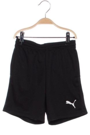 Kinder Shorts PUMA, Größe 7-8y/ 128-134 cm, Farbe Schwarz, Preis € 18,99