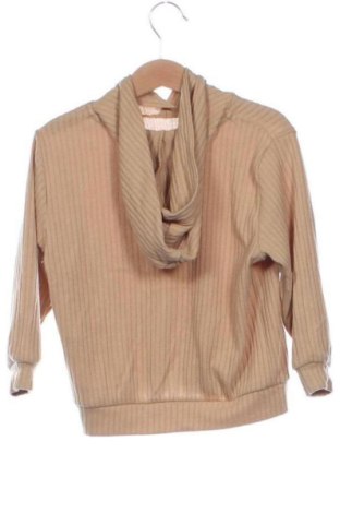 Παιδικό φούτερ H&M, Μέγεθος 3-4y/ 104-110 εκ., Χρώμα Καφέ, Τιμή 11,00 €