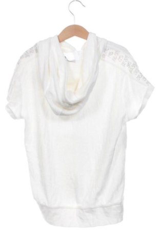 Dětská mikina  Sugarfree, Velikost 11-12y/ 152-158 cm, Barva Krémová, Cena  349,00 Kč