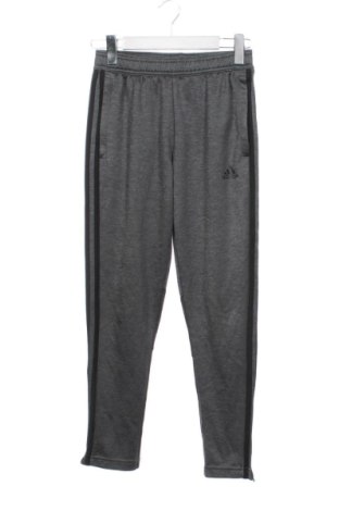 Kinder Sporthose Adidas, Größe 10-11y/ 146-152 cm, Farbe Grau, Preis 20,99 €